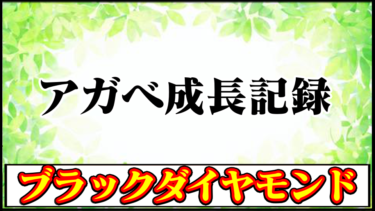 【アガベ】ブラックダイヤモンド(ブラックアンドブルー黄覆輪・B&B錦)の育成・成長記録｜育てる時の注意ポイントやおすすめの育て方【チタノタ・観葉植物・多肉植物】